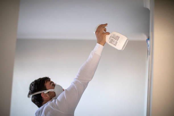 Best Attic Mold Removal  in Boaz, WV
